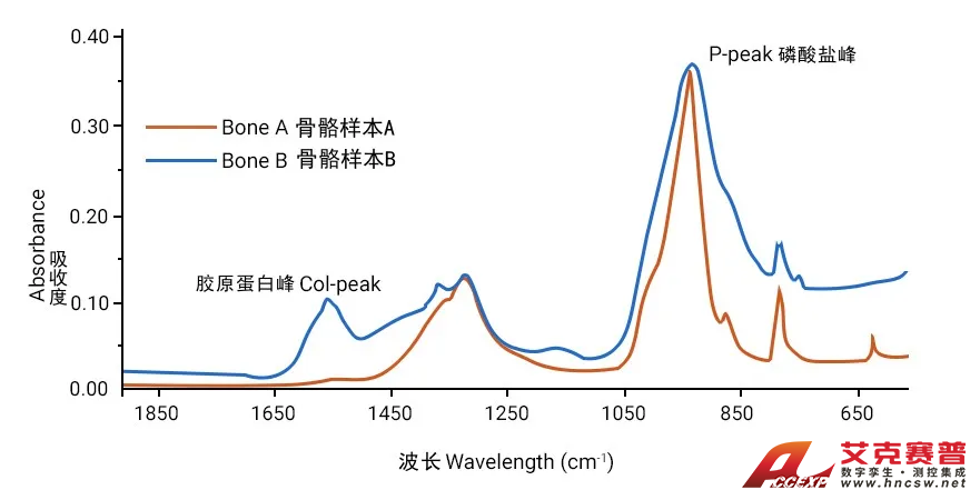 布鲁克-3.png