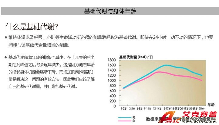 基础代谢与身体年龄